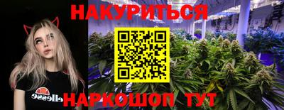mdpv Можга