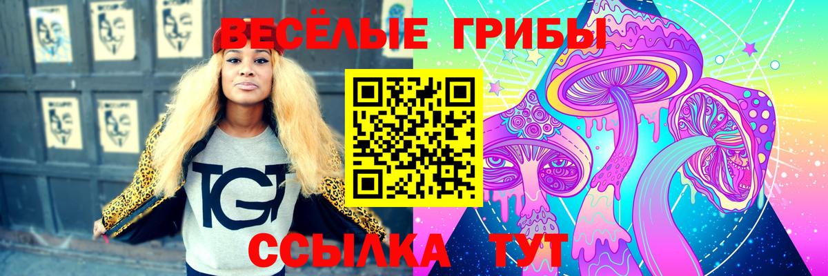 Уварово  Псилоцибиновые грибы GOLDEN TEACHER  Вход с VPN 